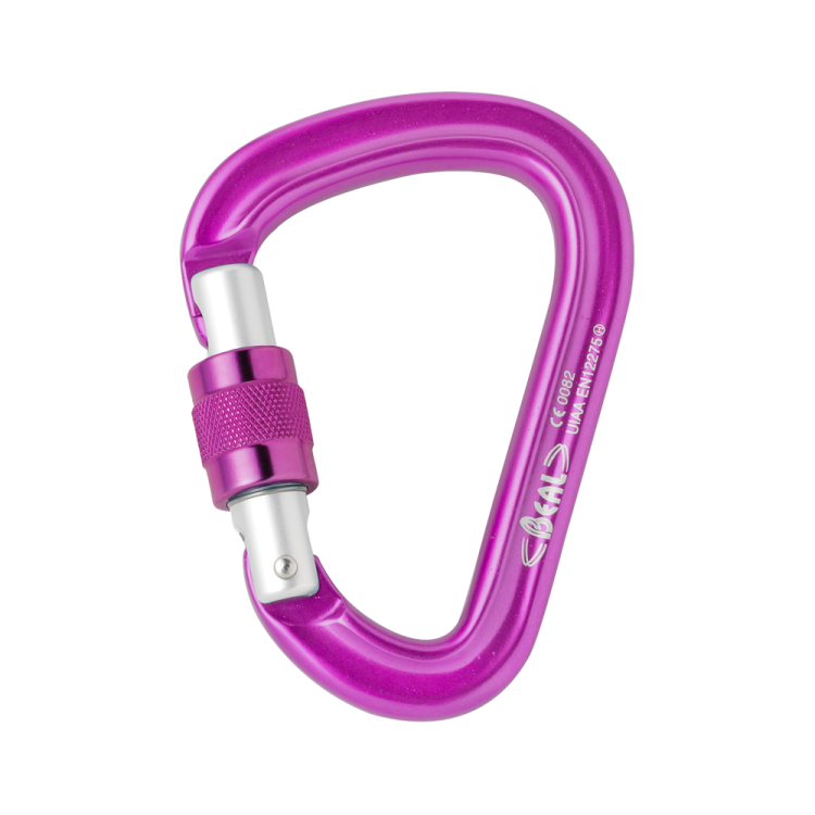 Be Safe Carabiner (BEAL)