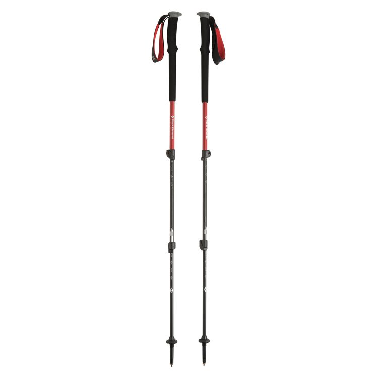 Trail Back  Sticks (Black Diamond)